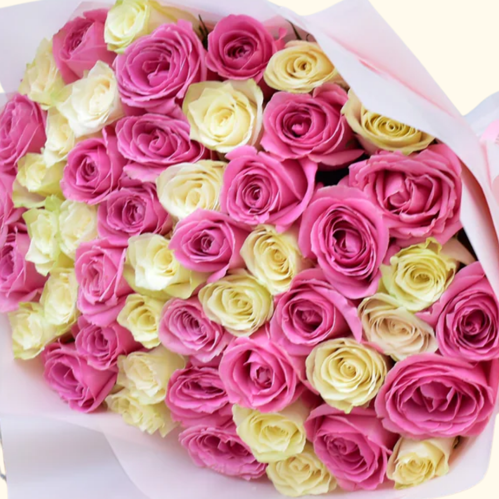 51 Pink & White Roses - Handpicked & Fresh