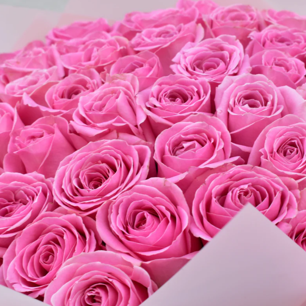 51 Pink Roses - Fresh & Elegant