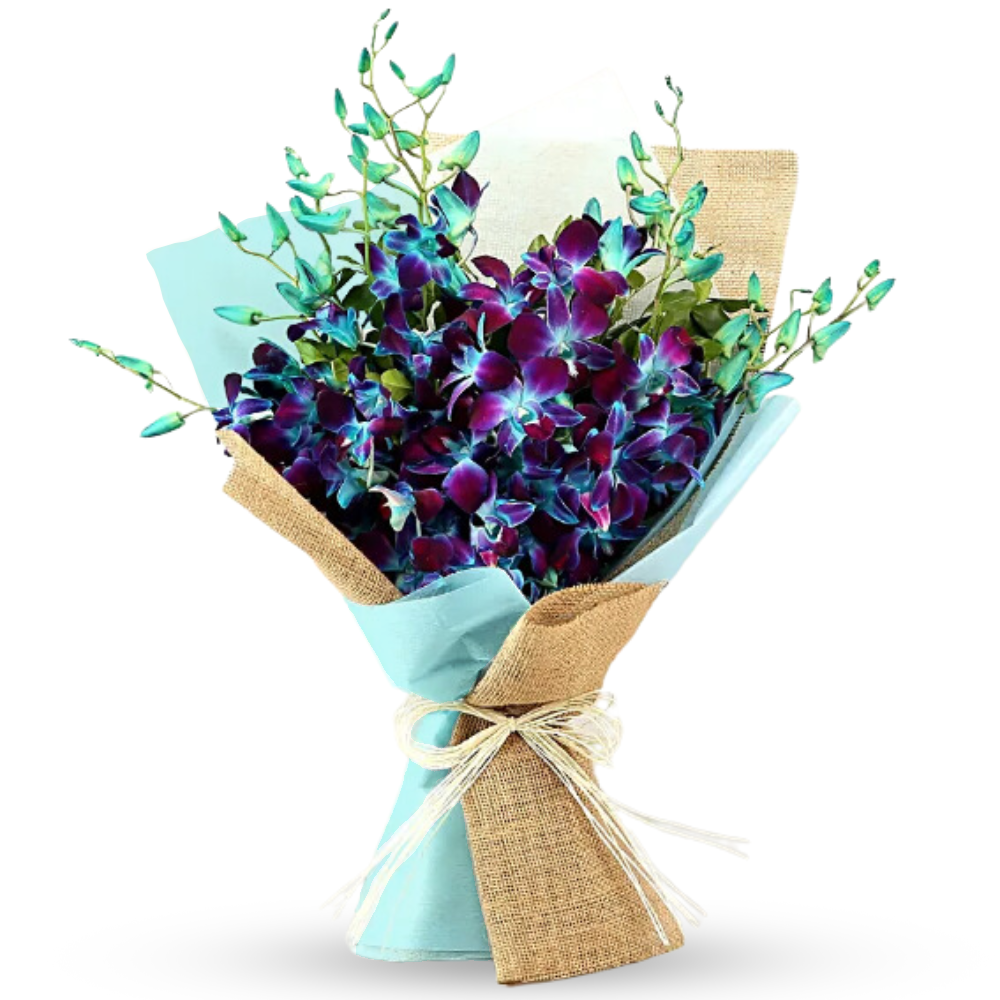 Spectacular Bunch of  Blue Orchids