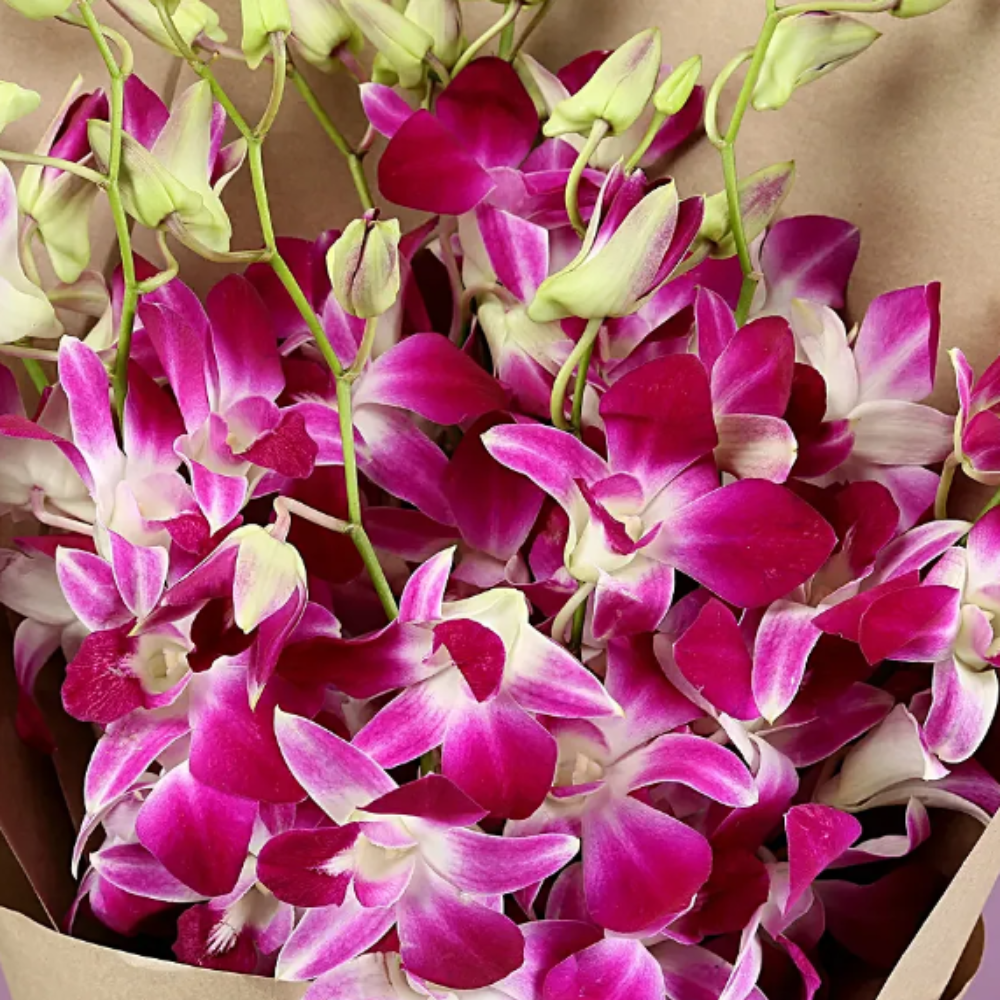 Orchid Bouquet with Brown Paper Wrap