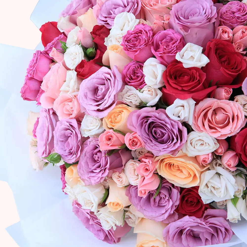 Bouquet of 80 Multicolor Roses – Perfect for Grand Occasions