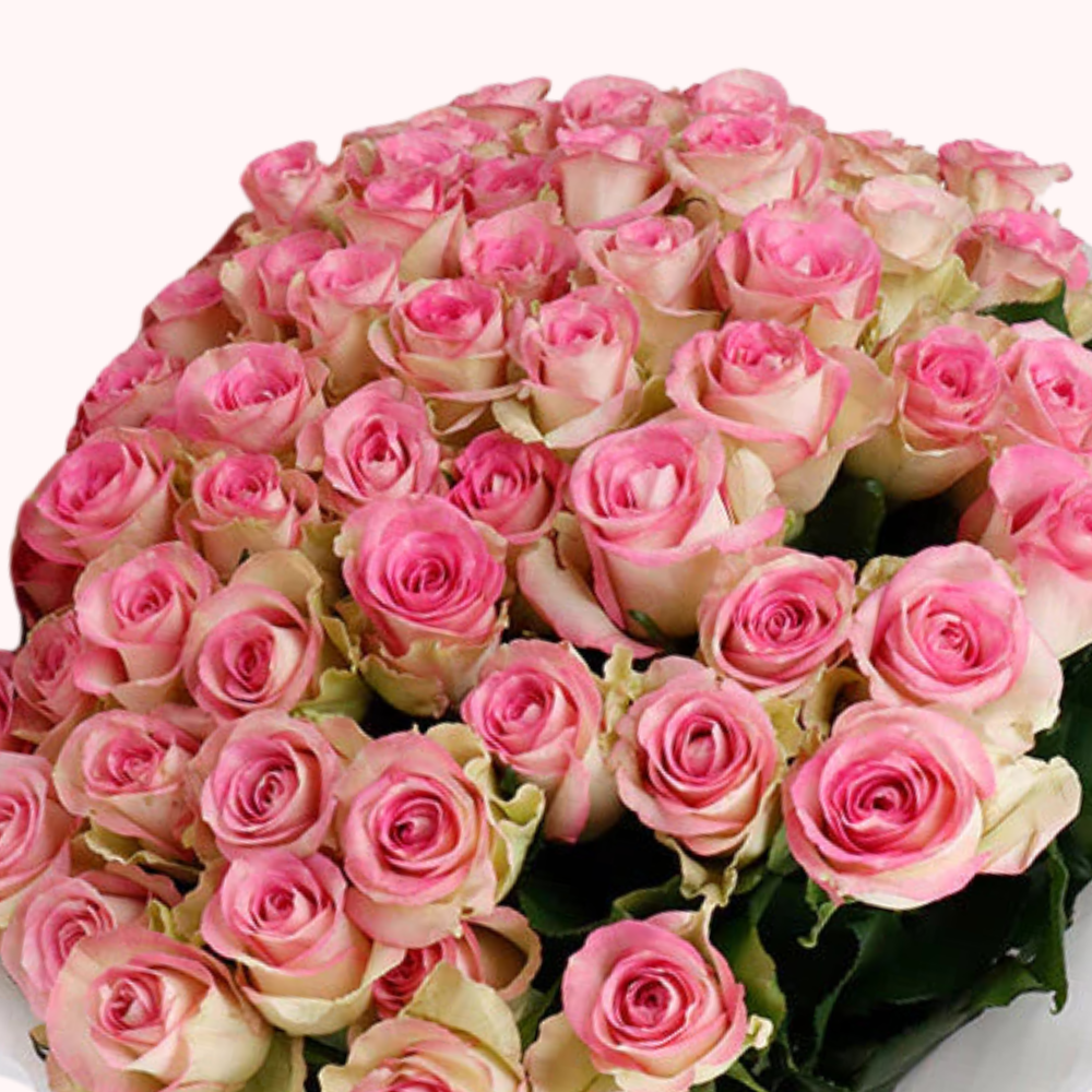 Bouquet of 50 Pink Roses – Perfect Gift