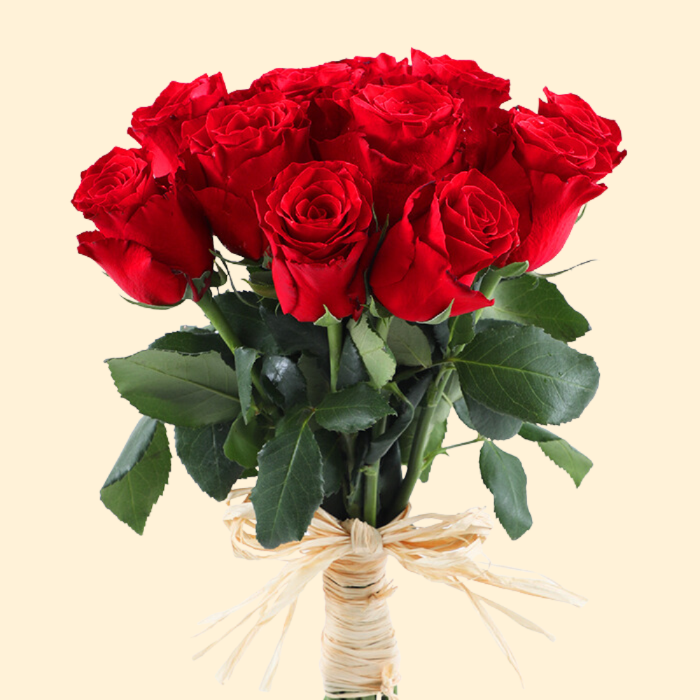 12 Fresh Red Roses Bouquet - A Classic Expression of Love