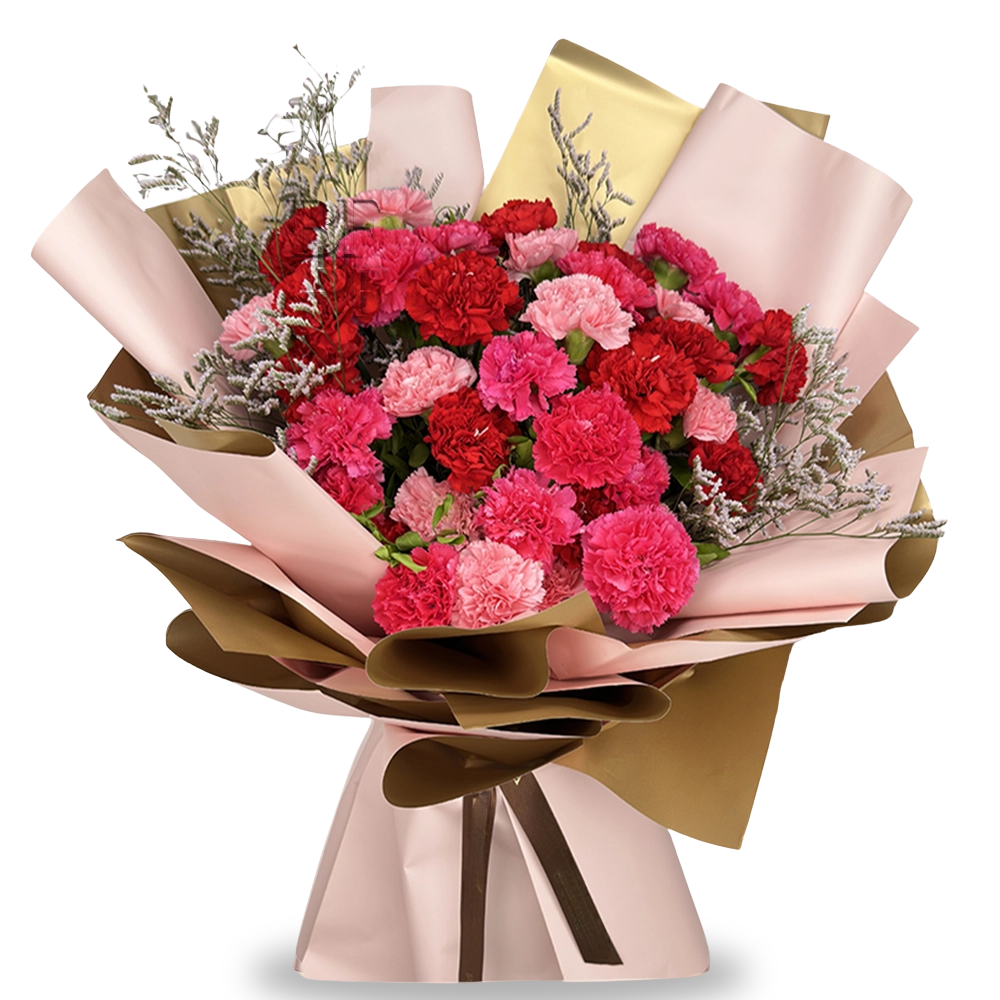 Carnation Crush – Red & Pink Vibes Bouquet
