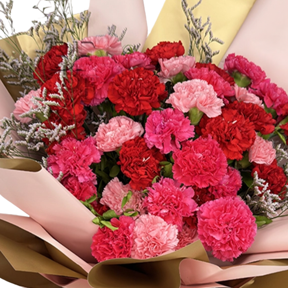 Carnation Crush – Red & Pink Vibes Bouquet