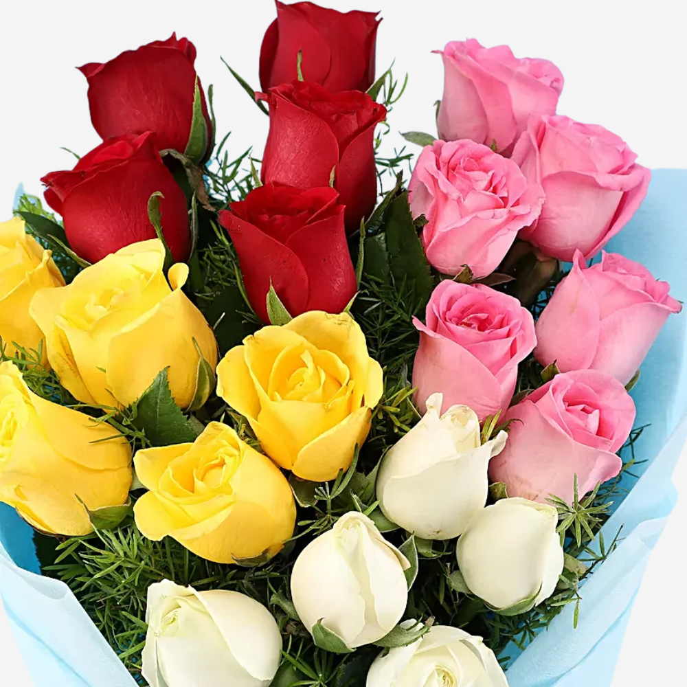 21 Roses of Pink, Yellow, Red & White