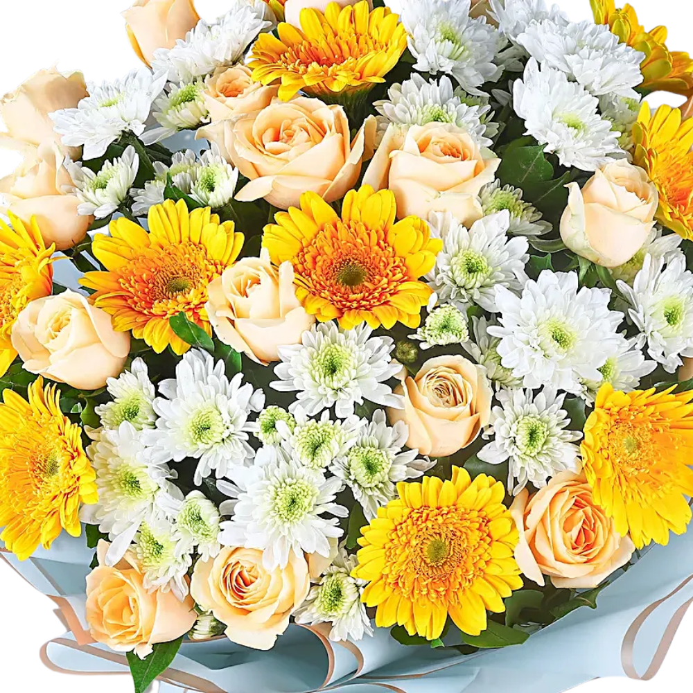 Delicate Charm Peach Roses & Gerbera