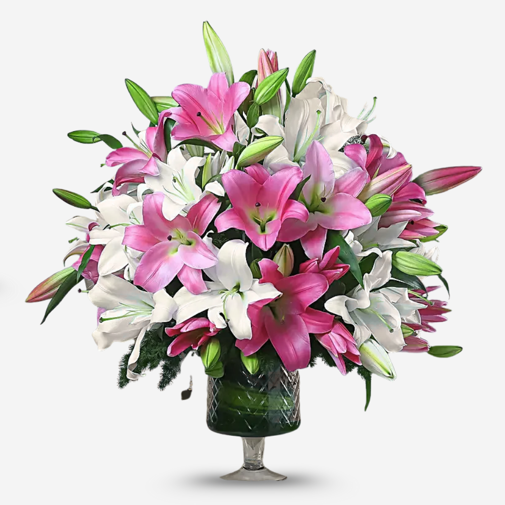 Fresh Pink & White Lily Bouquet for All Occasions