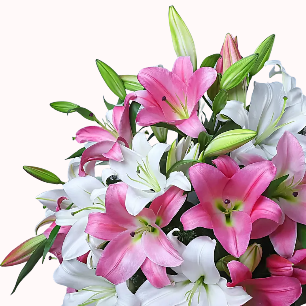 Fresh Pink & White Lily Bouquet for All Occasions