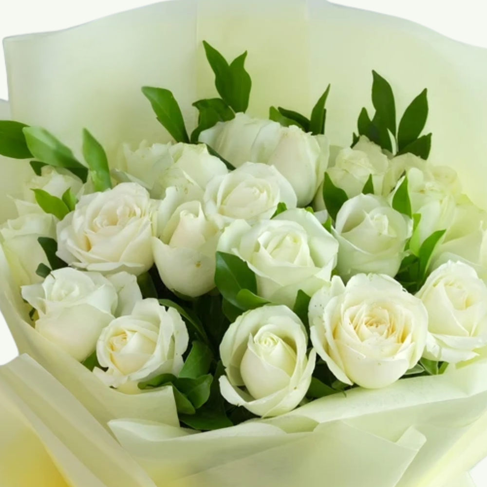 34 White Roses Pure White Roses Bouquet | Rose Gift | Buy Online India | Floral Hub
