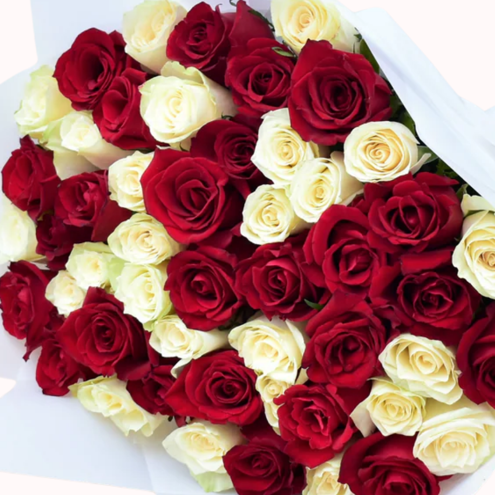 Red and White Roses - 51 Stems