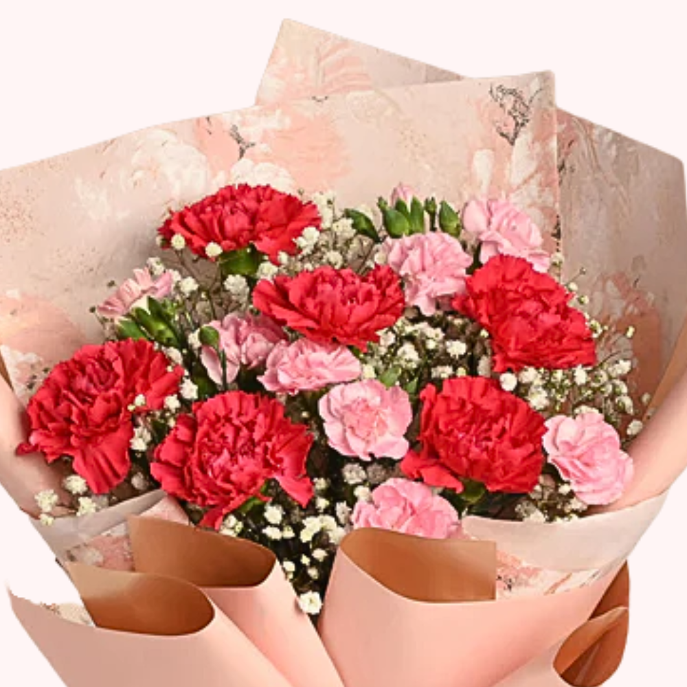 Red & Pink Carnation Bouquet with Gypsy