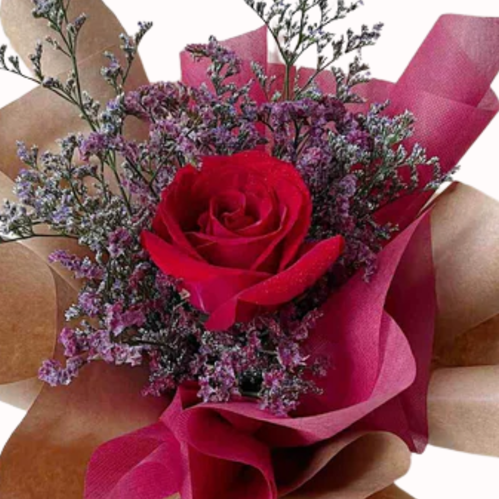 Single Classy Red Rose for Your Love