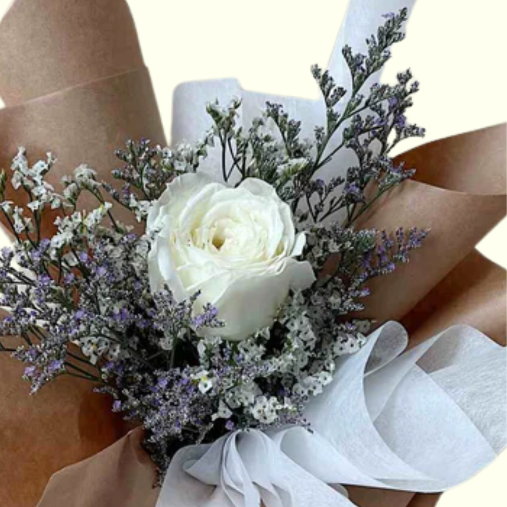 Single Classy White Rose with Stylish Wrapping