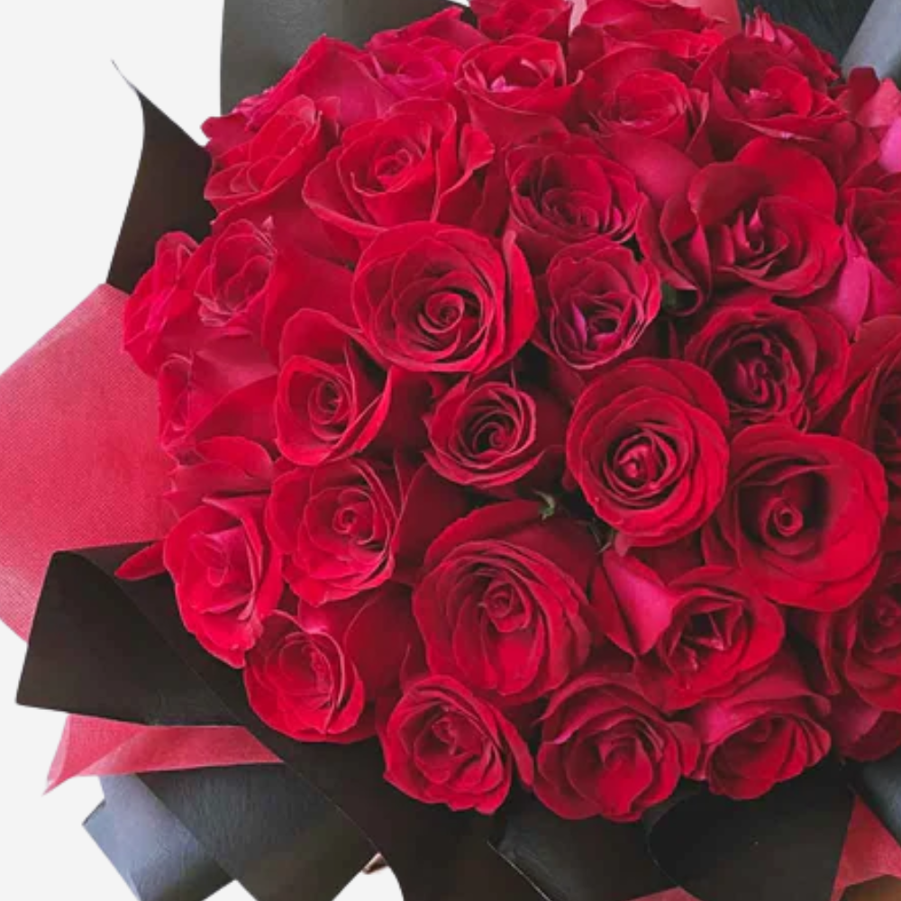 50 Classic Red Roses