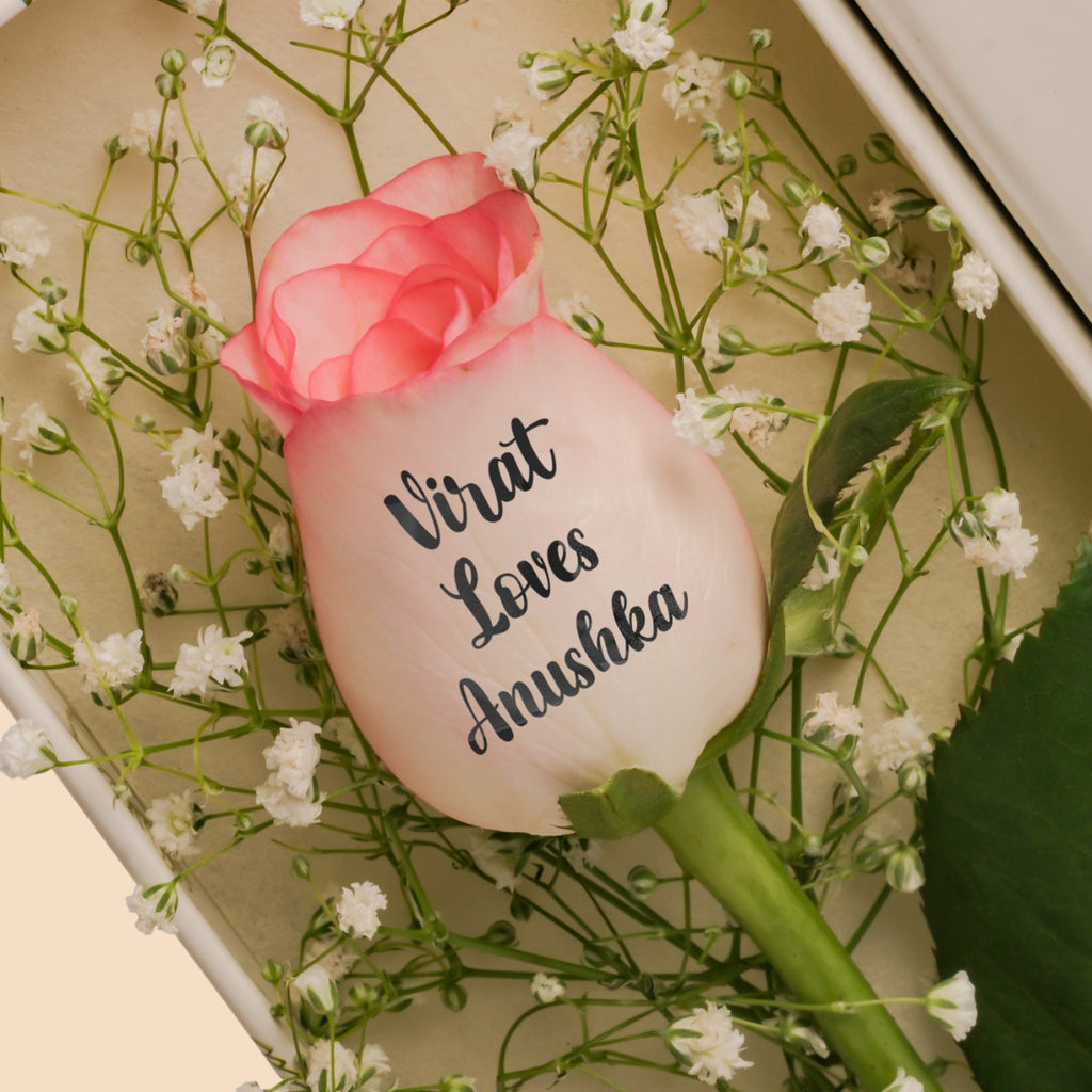 Express your self with a Rose