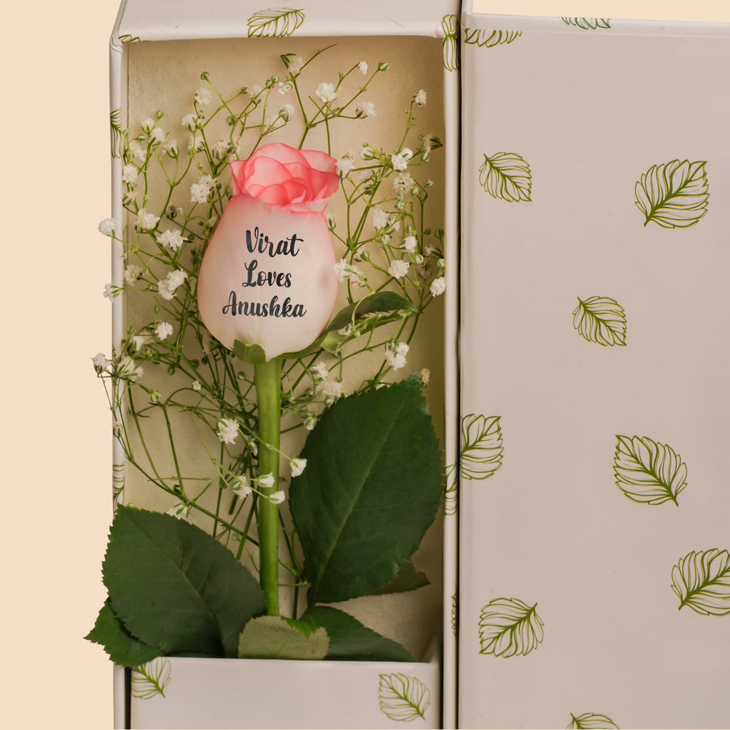 Express your self with a Rose