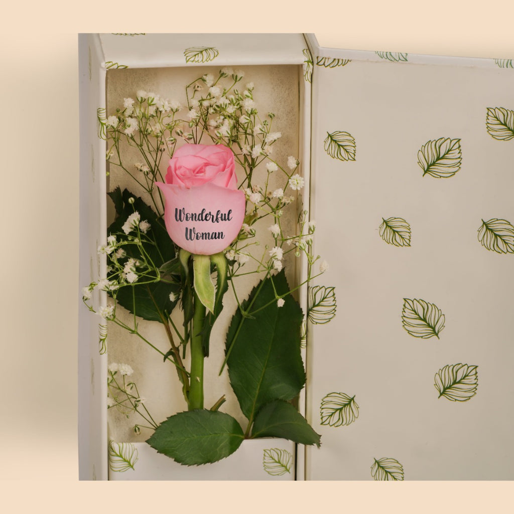 Elegance Rose for Women