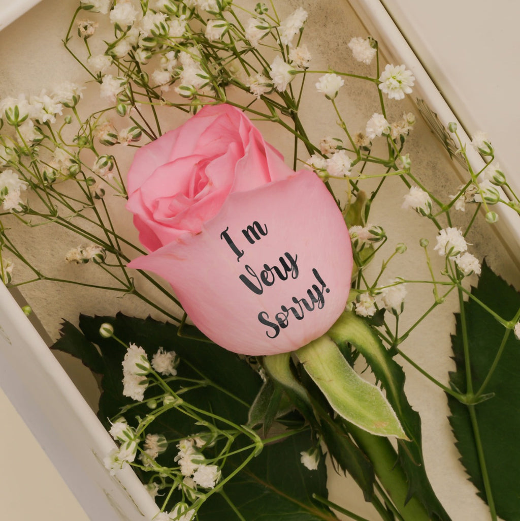 Pink perfect message Rose
