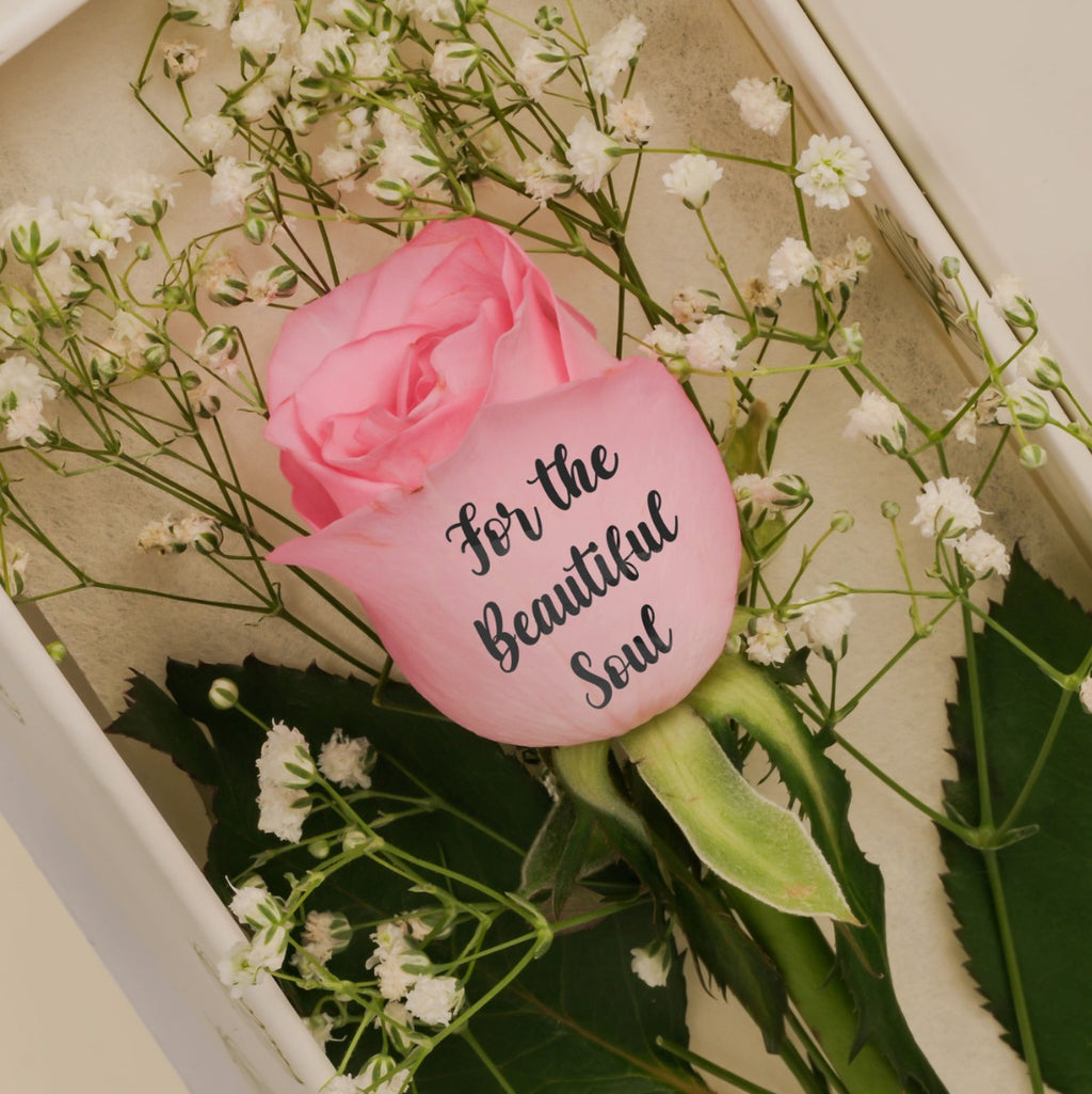 Sweetest Pink Promise Rose