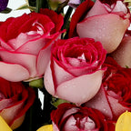 Bloom Box