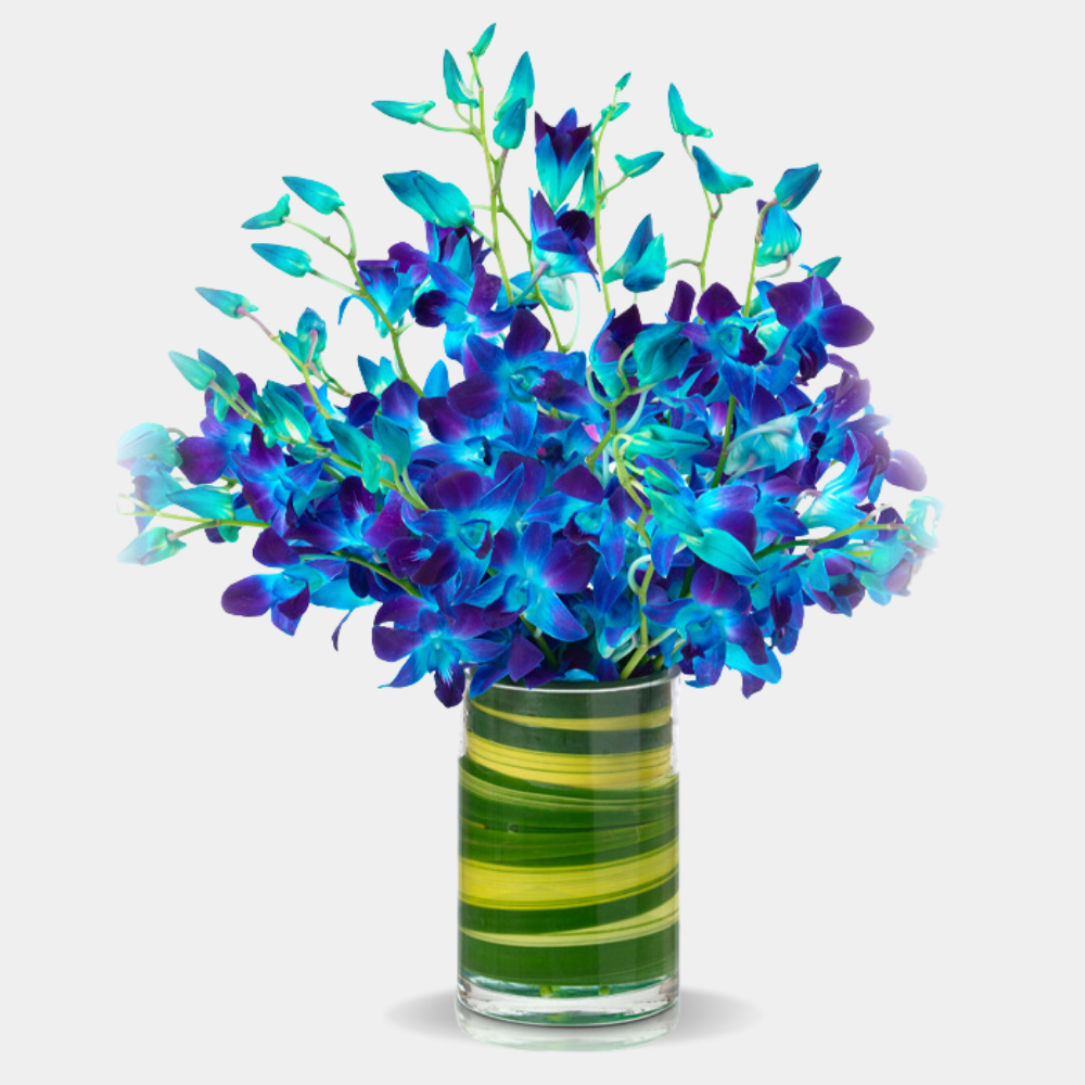 Exquisite Blue Orchid Bouquet - 10 Stems