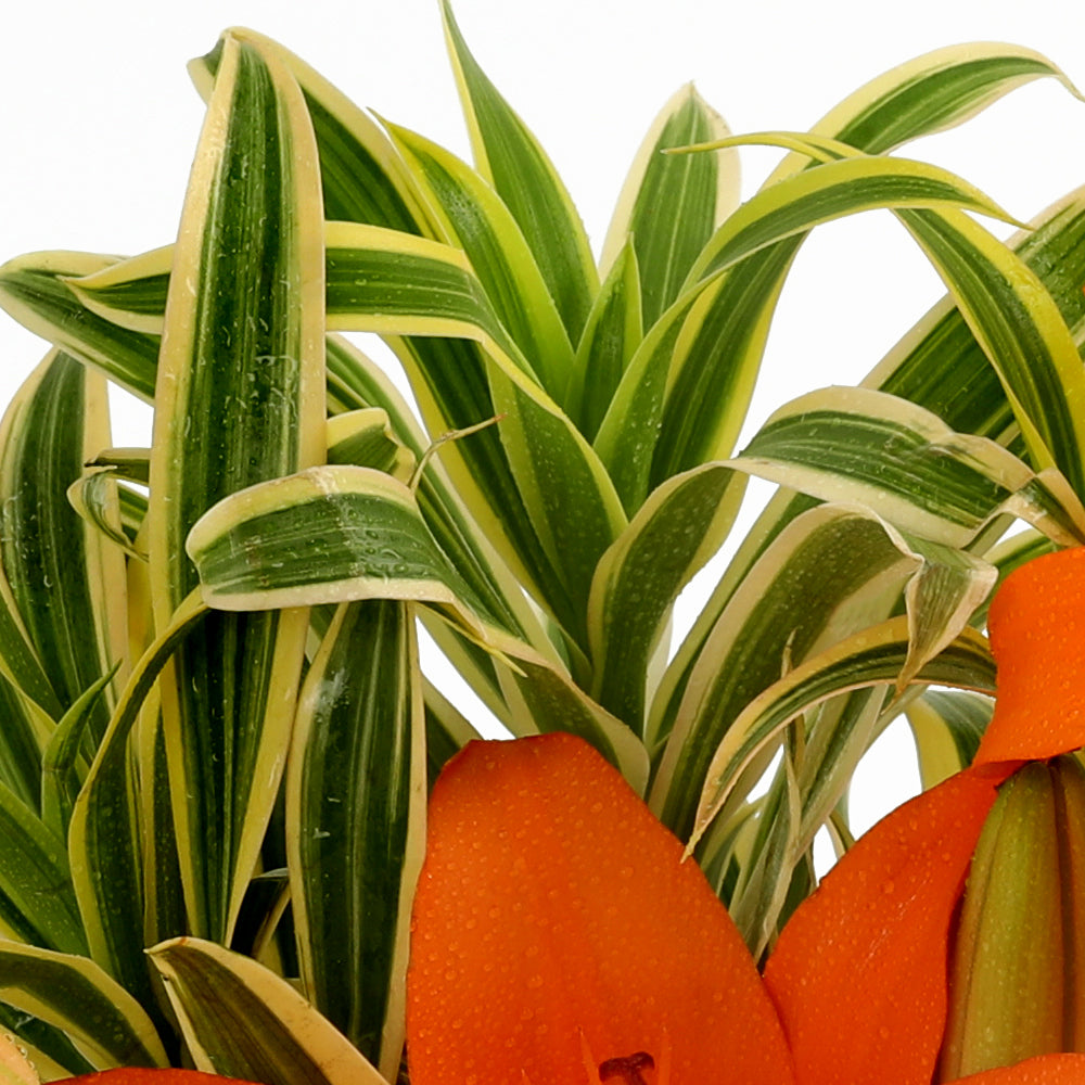 Prosperity Bouquet