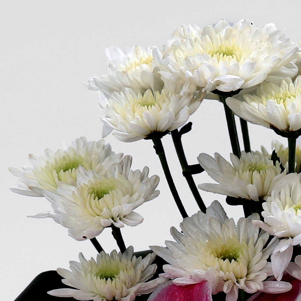 Timeless Beauty Bouquet