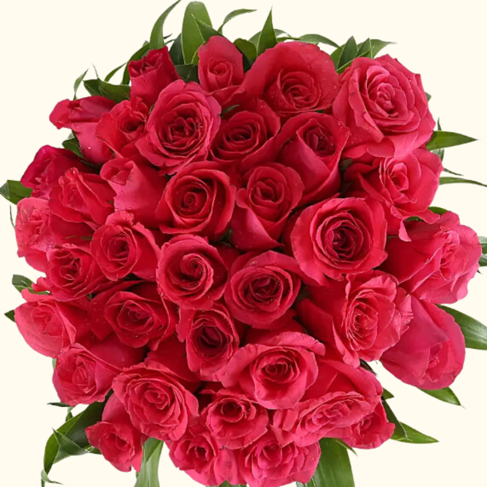 Luxurious Dark Pink Roses in Glass Vase