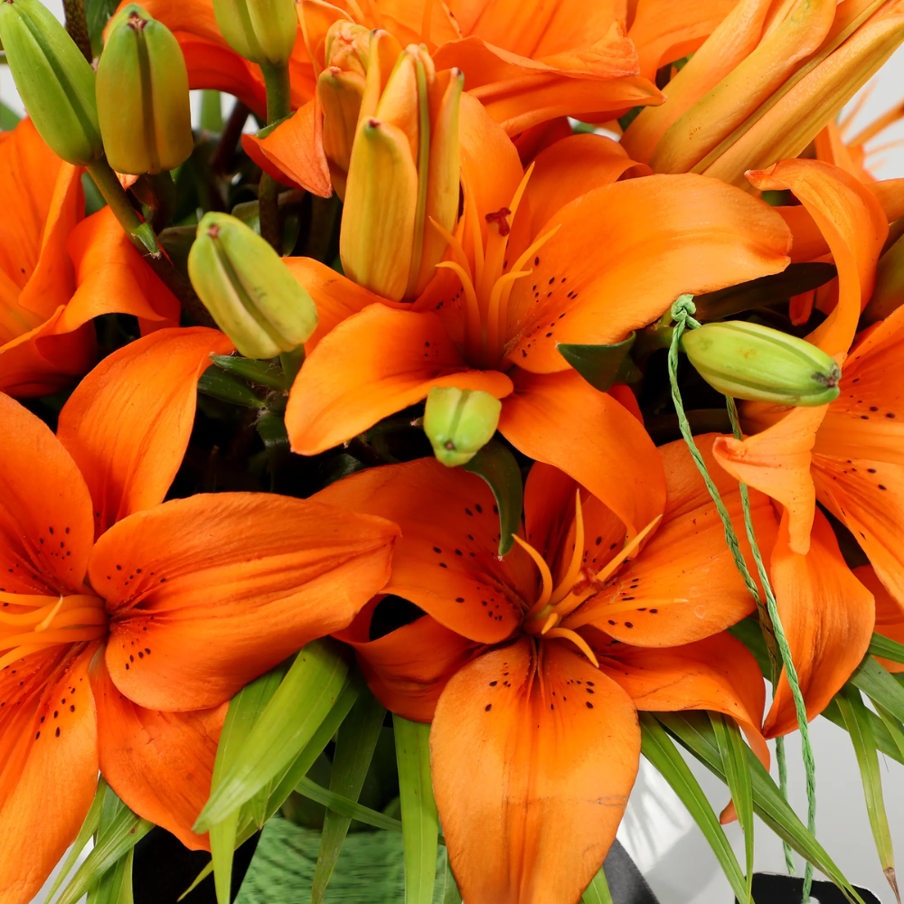 Orange Lily Bouquet in Glass Vase – 10 Stems