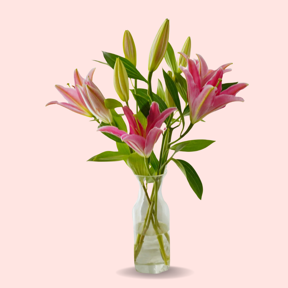 Fresh Pink Lilies Bouquet – 5 Stems in Glass Vase