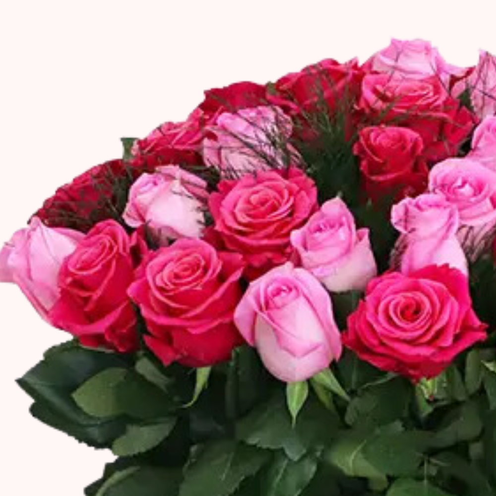 Hot pink Rose Bouquet in Glass Vase – 40 Roses