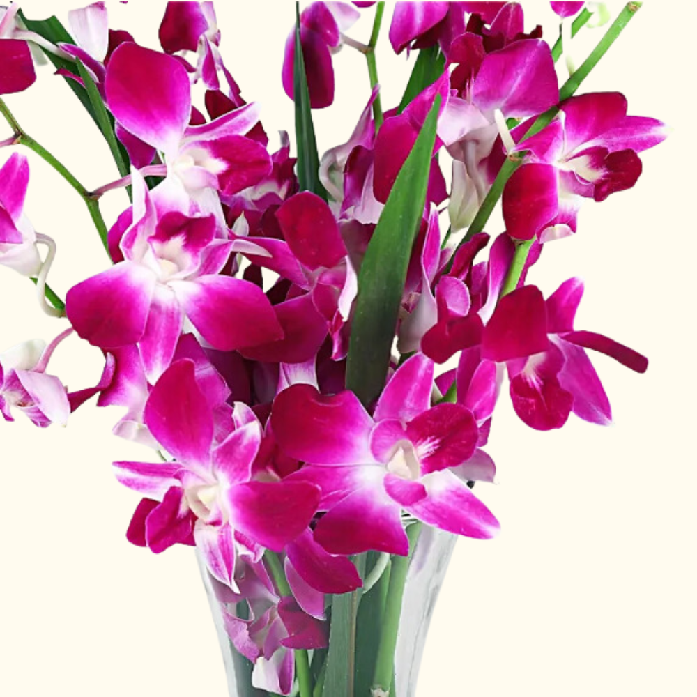 Elegant Purple Orchid Glass Vase Arrangement