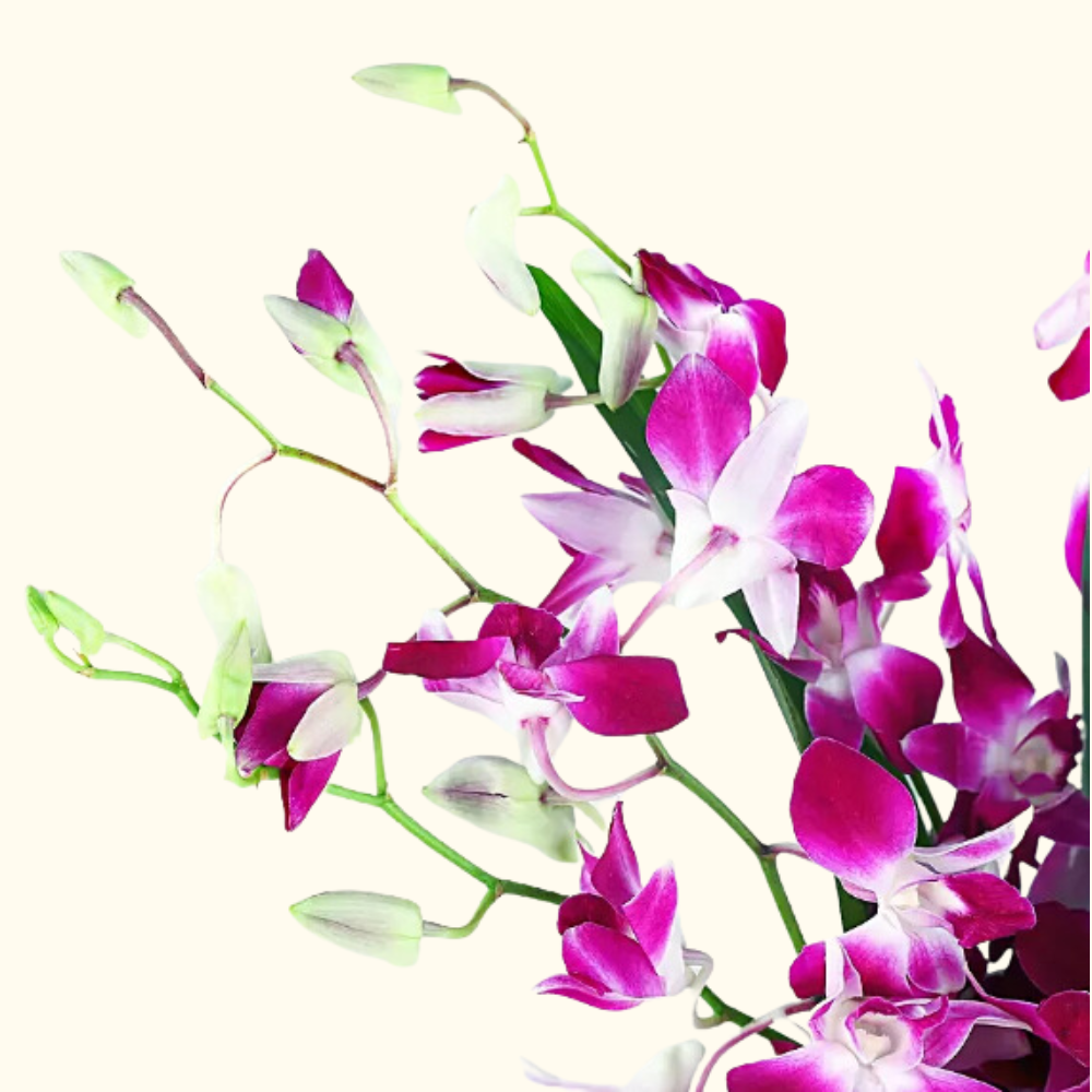 Elegant Purple Orchid Glass Vase Arrangement