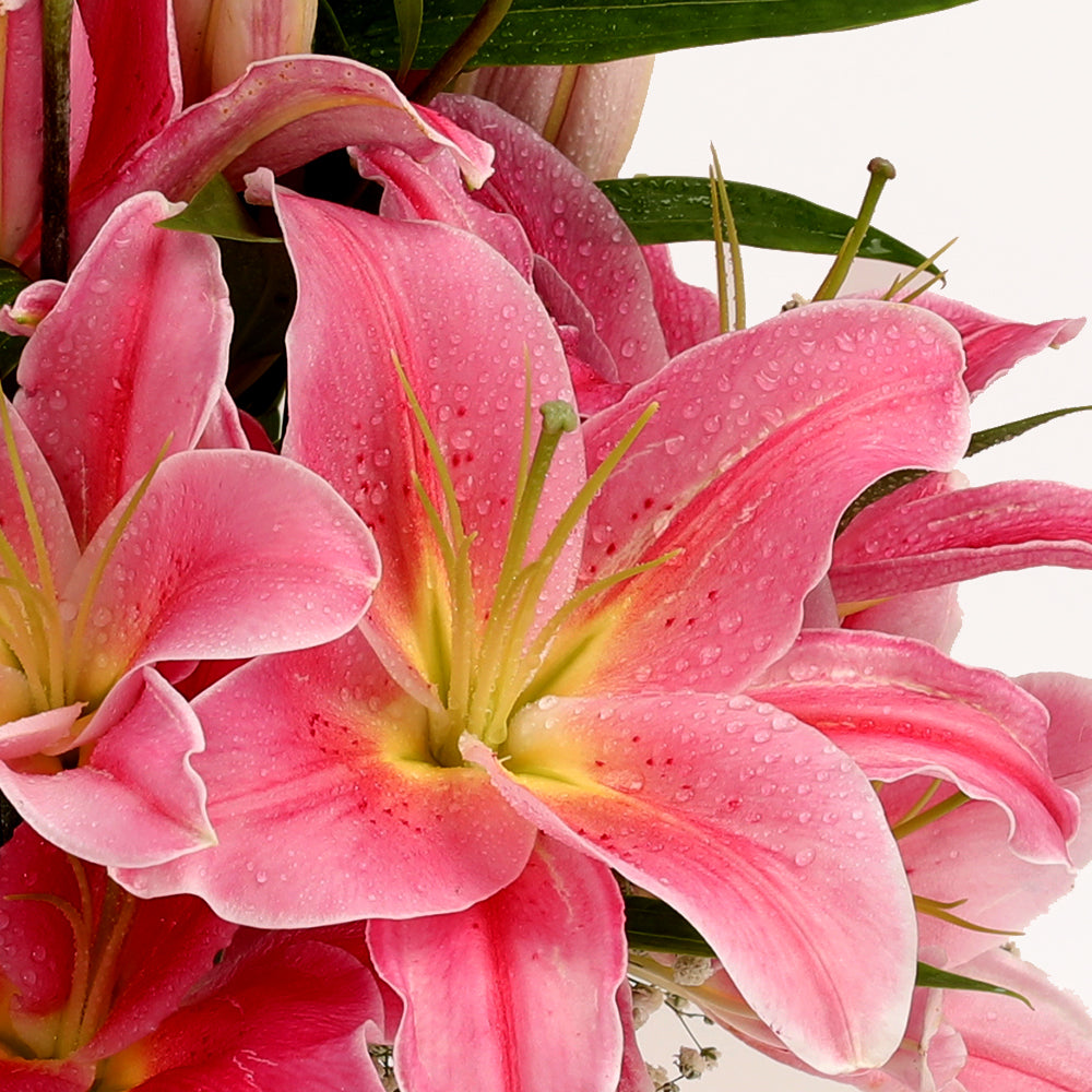 Pure Bliss Bouquet