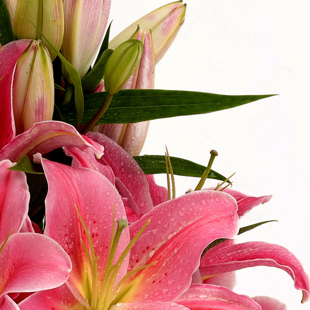 Pure Bliss Bouquet