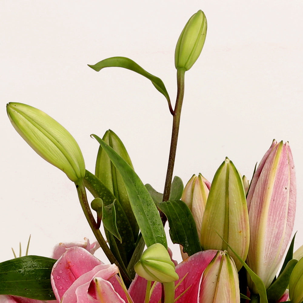 Pure Bliss Bouquet