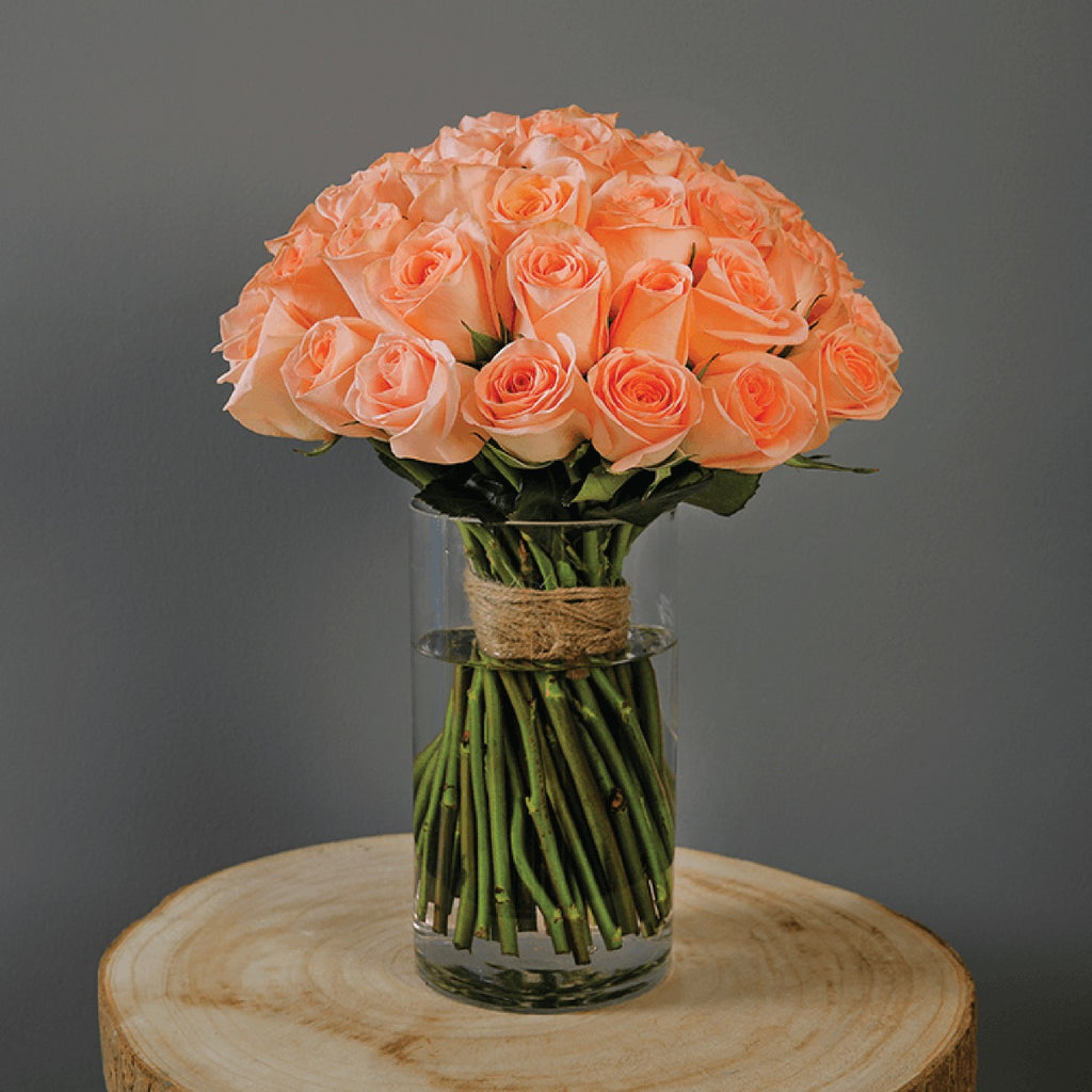 Premium Peach Roses in a vase