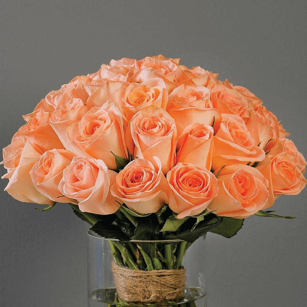 Premium Peach Roses in a vase