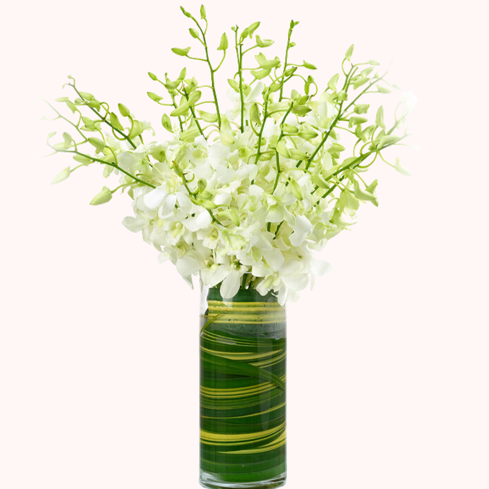 White Dendrobium Orchid Bouquet in Glass Vase - 10 Stems