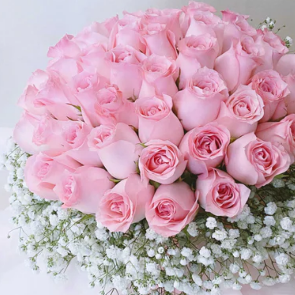Bunch of 50 Baby Pink Roses